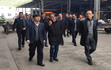 2017年3月16日下午，嘉興市委常委、常務(wù)副市長樓建明帶領(lǐng)市級相關(guān)部門負責人視察嘉興蔬菜批發(fā)市場