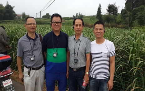 2014年8月，中國蔬菜流通協(xié)會會長戴中久與公司、市場領(lǐng)導(dǎo)一起考察蔬菜基地