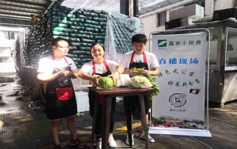 創(chuàng)意直播帶貨,本期專欄：蘭州高原夏菜！